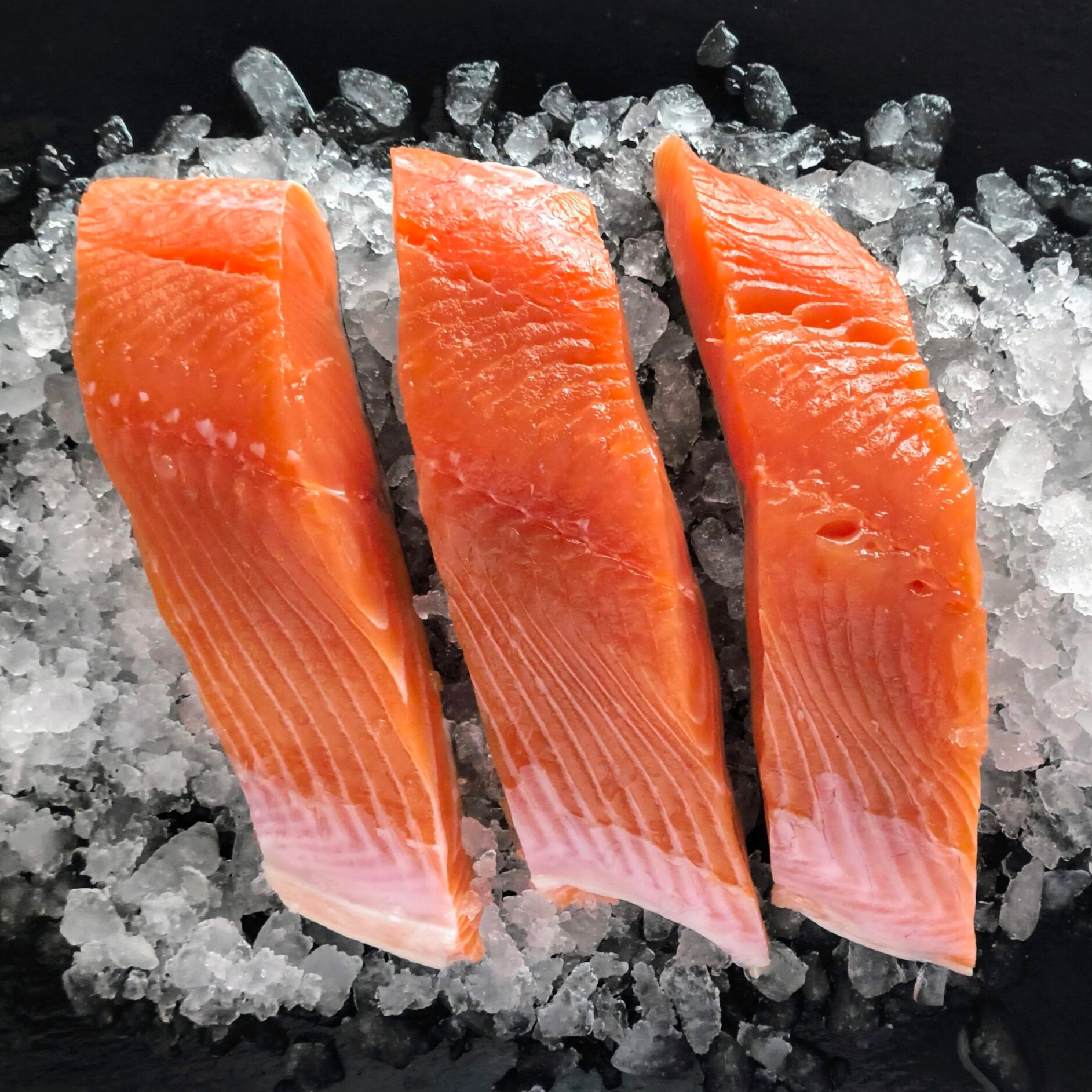 King Salmon - (Oncorhynchus Tshawytscha)